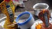 Nag Panchami 2021: नाग पंचमी के दिन क्या खाना चाहिए | Nag Panchami Ke Din Kya Khana Chahiye |Boldsky