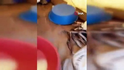 Tunceli'de sağanak yağış sebebiyle göçer çadırları kullanılamaz hale geldi