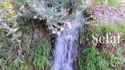 ADIYAMAN İNCELER EMLAK EMEK