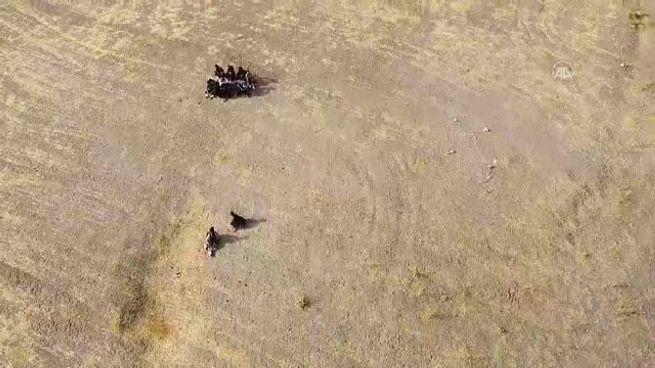 Van'da sınırda asker ve özel harekat timleri, kent merkezinde polis göçmen kaçakçılığıyla mücadele ediyor
