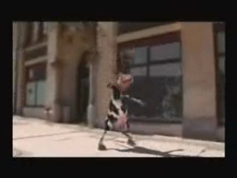 Crazycow