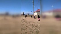 GÜMÜŞHANE - Genç kızların yaylada oynadıkları voleybol maçları büyük ilgi görüyor