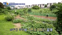 배연정 부부의 자연 속 마트(?) 텃밭 대공개!