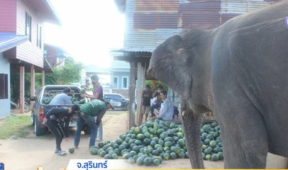 เรื่องพลบค่ำ (ช่วงที่ 2) วันพฤหัสบดีที่ 12 สิงหาคม 2564