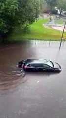 شاهد: كلب يساعد المرأة في دفع السيارة للخروج من الطريق المغمور بالفيديو