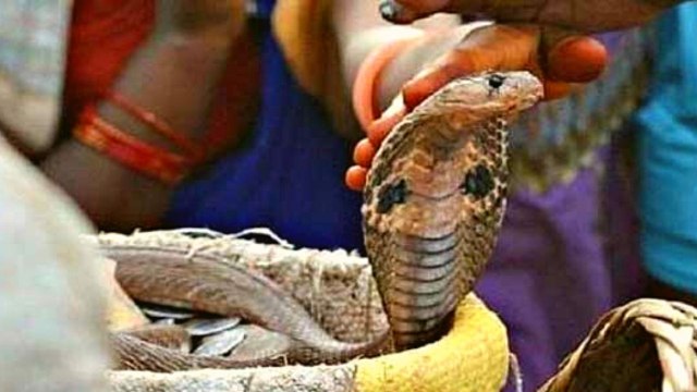 Nag Panchami 2021: Nag Panchami Wishes, Images, Quotes | नाग पंचमी पर भेेजें ये संदेश | Boldsky