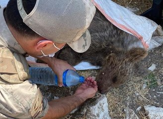 KAYALIKLARDAN DÜŞEN YAVRU AYIYI JANDARMA KURTARDI