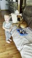 Boy Plays Dog Groomer with Patient Boxer