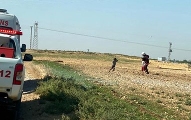 Arılar eve saldırdı: mahsur kalan 10 kişiyi itfaiye kurtardı