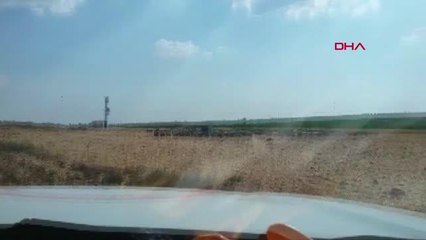 AKÇAKALE'DE ARILAR AİLEYE SALDIRDI