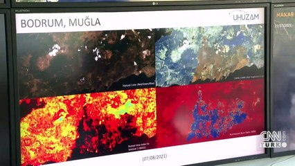 Yanan ormanlar uydudan görüldü