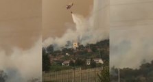 Incendi in Calabria, brucia la Pineta di Siano (12.08.21)