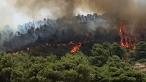 Giarratana (RG) - Incendio nella pineta di Calaforno minaccia centro abitato (12.08.21)