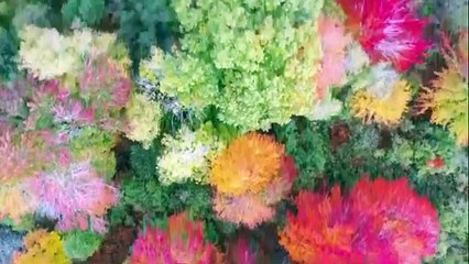 BEST INSTRUMENTAL MUSIC FOR STRESS RELIEF 2021 | Meditation and Relaxation