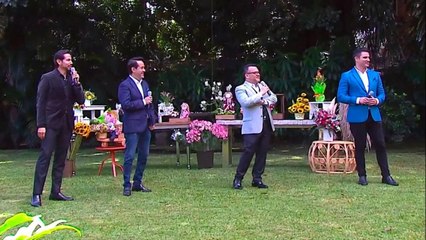 bd-los-tenores-visitan-buen-dia-120821