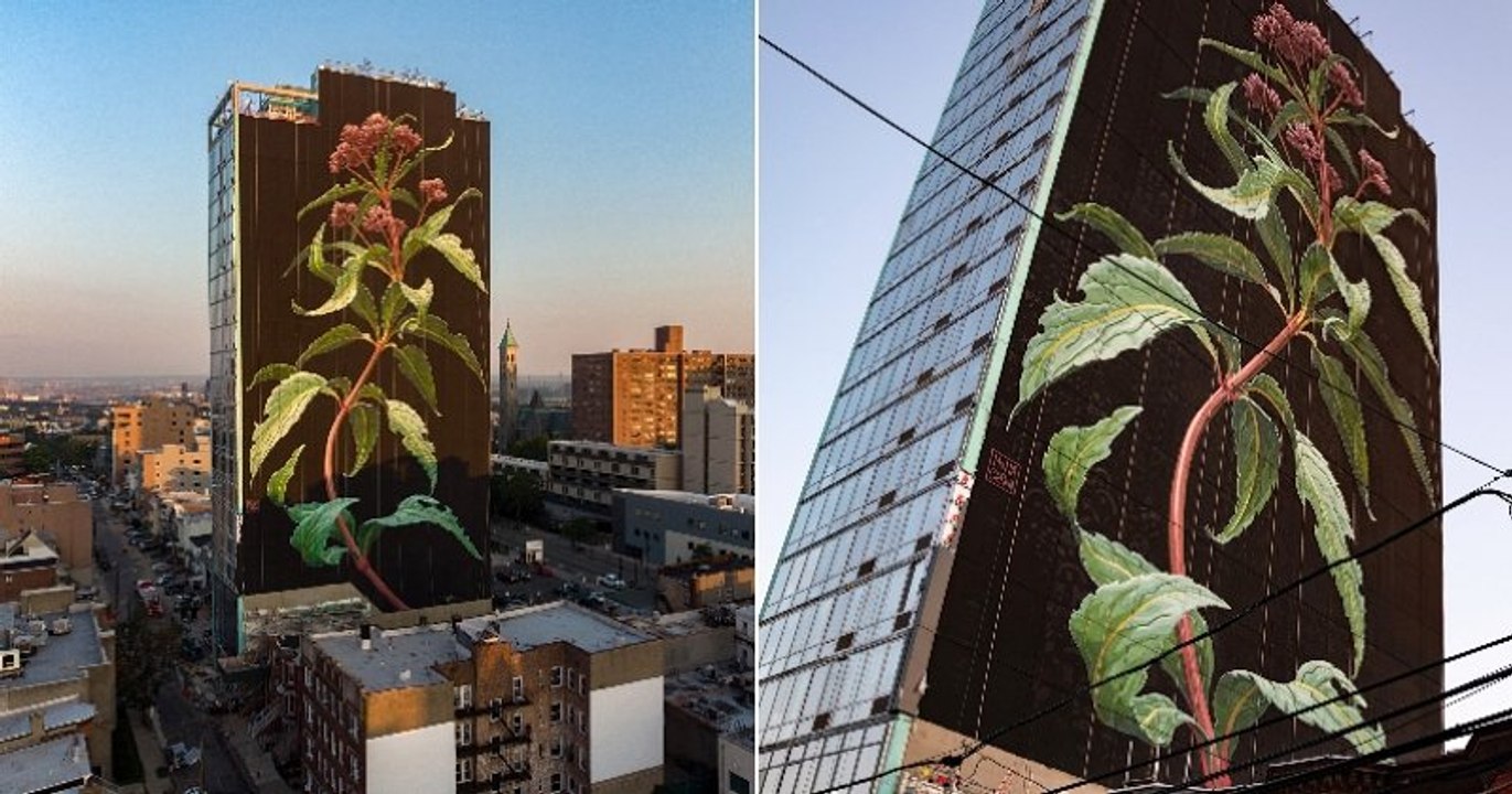 À Jersey City, une fresque végétale de 60 mètres de hauteur émerveille le centre-ville