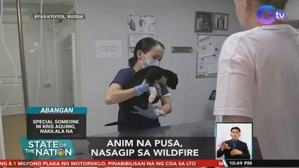 6 na pusa, nasagip sa wildfire | SONA