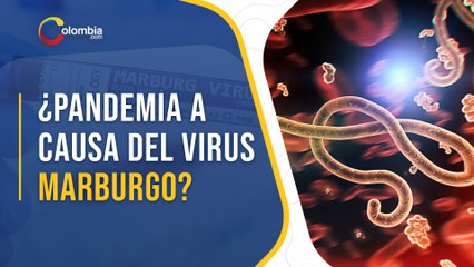 Virus Marburgo pone en alerta al mundo tras confirmarse primer caso en África