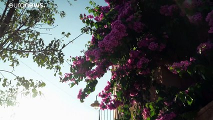 Tosca envoûte le festival "Castell de Peralada"