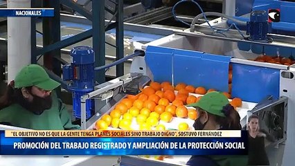 Promoción del trabajo registrado y ampliación de la protección social