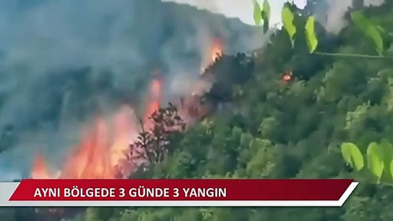 Sarıyer Belediyesi: Son dönemde üst üste yangınların çıkmasından endişeliyiz