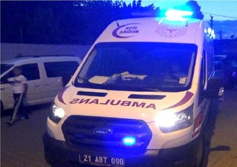 Diyarbakır'da hayvan otlatma kavgası: 2 ölü