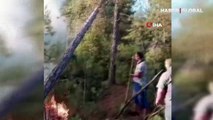 Bursa Harmancık'ta orman yangını başladı! Ekipler müdahale ediyor