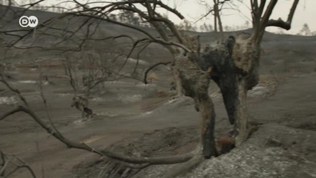 Страшный ущерб от пожаров в Греции: местные жители обвиняют власти в бездействии (12.08.2021)