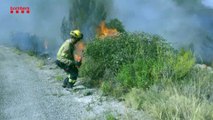 imatges incendi la Pobla de Massaluca / Bombers de la Generalitat