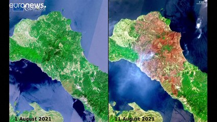 Ελλάδα: Καλύτερη η εικόνα στα μέτωπα - Τεράστια οικολογική καταστροφή