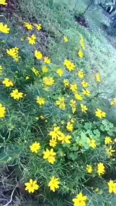 Lee la biblia con migo Génesis capítulo 4:1