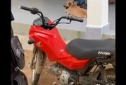 Polícia Militar de Pombal recupera a quarta moto em menos de 48 horas no município