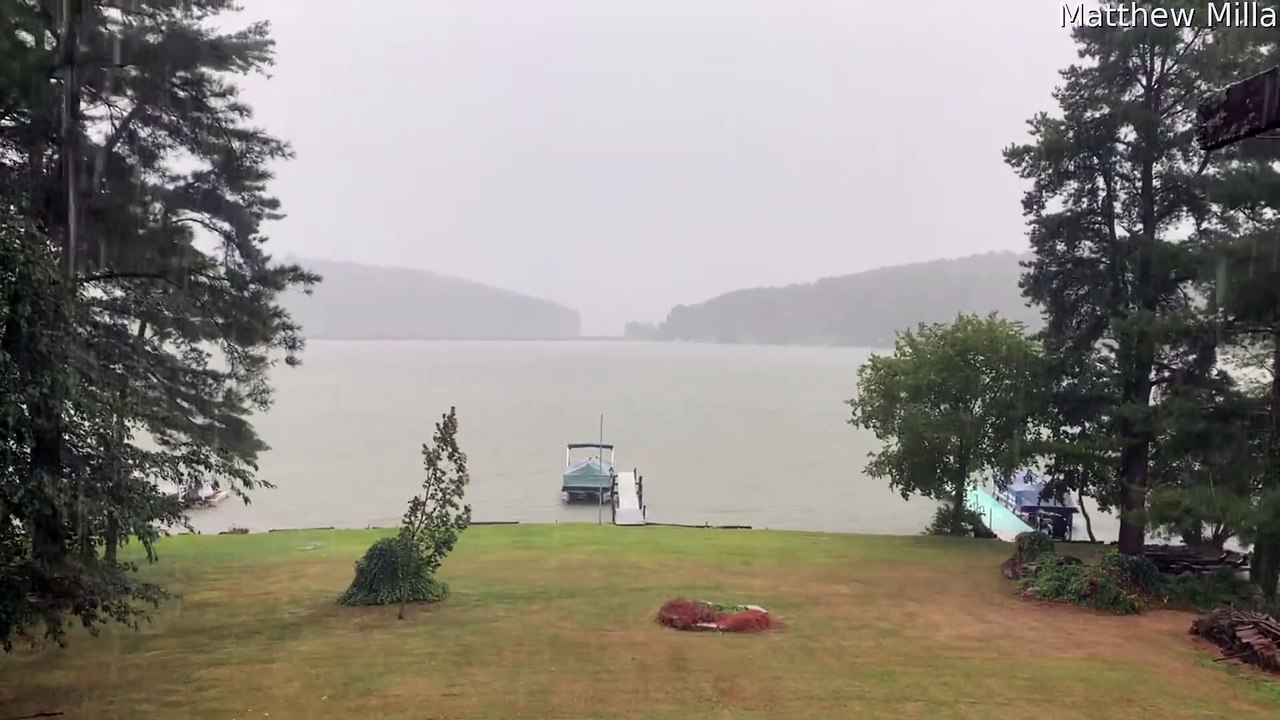 Lightning Strike Dashes Backyard Tree to Pieces