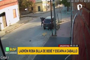 Ladrón escapa a caballo tras robar silla de bebé de un auto
