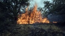 Μεγάλες πυρκαγιές σε Αλγερία, Ιταλία, Μαυροβούνιο και Σιβηρία