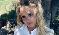 Jamie Spears Reportedly Stepped Down as Britney Spears's Conservator