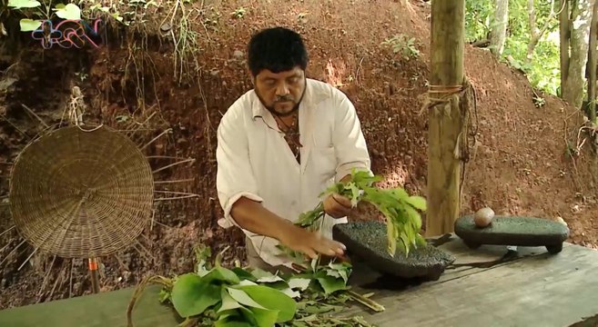 mqn'Chamán tiene remedios naturales para más de 200 enfermedades-120821