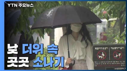 [날씨] 낮 더위 속 곳곳 소나기...남해안·제주 많은 비 / YTN
