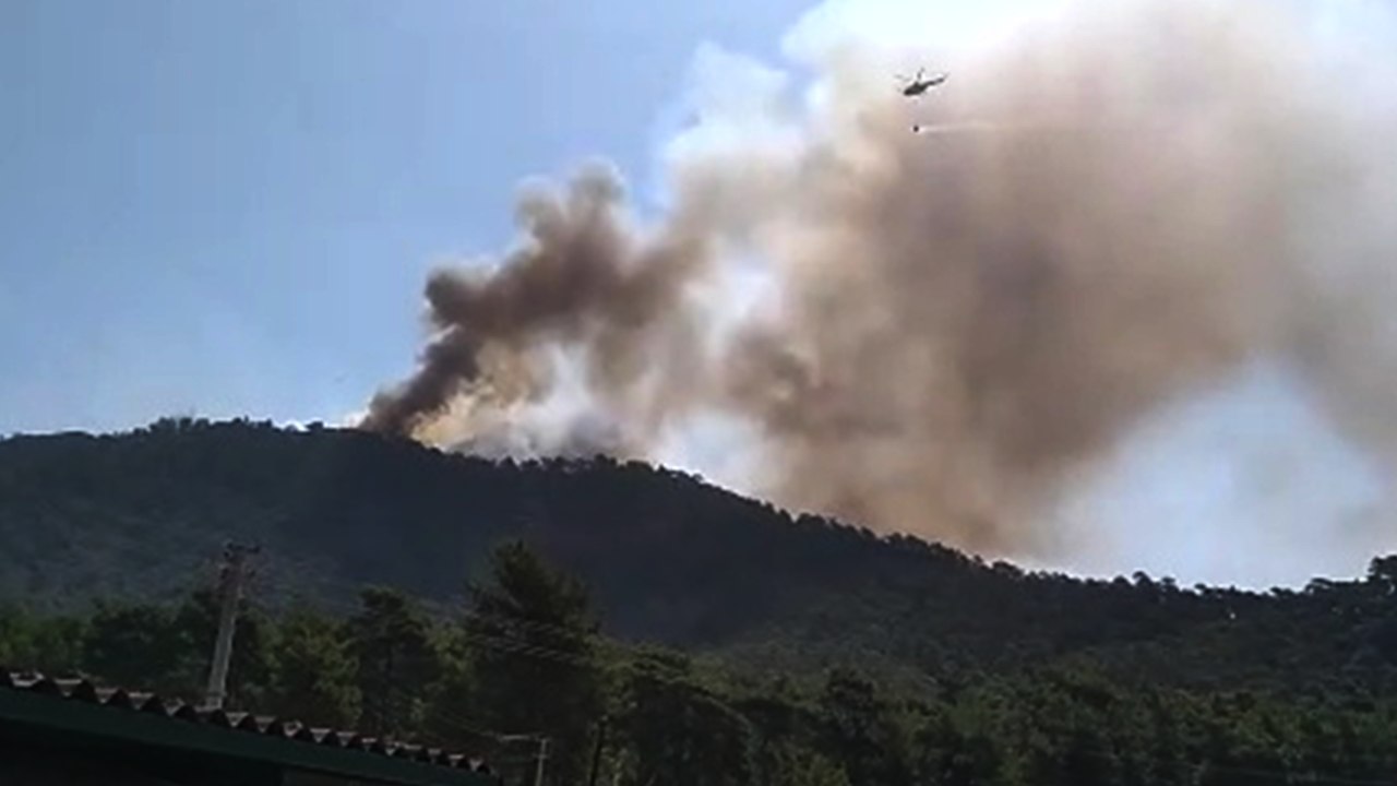 'Wildfires Raging Across Turkey Approach an Animal Shelter in Marmaris '