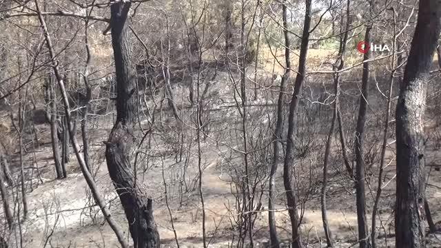 Manavgat'ta canı pahasına yangından küçükbaş hayvanlarını kurtardı: Keçilerim yansa, vicdan azabından yaşayamazdım