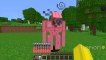 What if you SHEAR A IRON GOLEM in Minecraft - IRON GOLEM ITEMS !