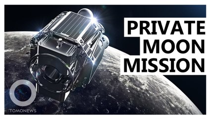 Japanese Startup Delivering UAE’s Rover to the Moon in 2022