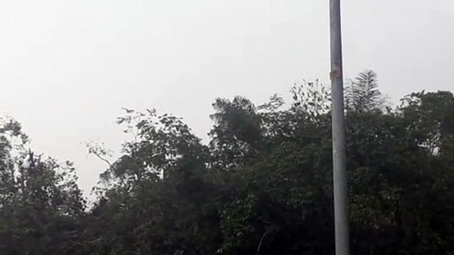 Airbus A330 PR-AIW na aproximação final antes de pousar em Manaus vindo de Campinas