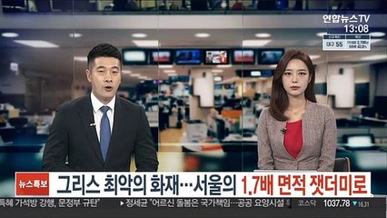 그리스 최악의 화재…서울의 1.7배 면적 잿더미로