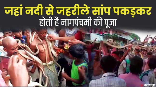 Nag Panchami 2021: नागपंचमी की पूजा के लिए लोग कैसे पकड़ते हैं सांप, जानकर खड़े हो जाएं रौंगटे