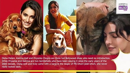 Disha Patani, Katrina Kaif, and Priyanka Chopra’s adorable pawsome moments to admire
