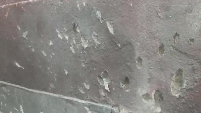 BJP leader's brother talks about grenade attack