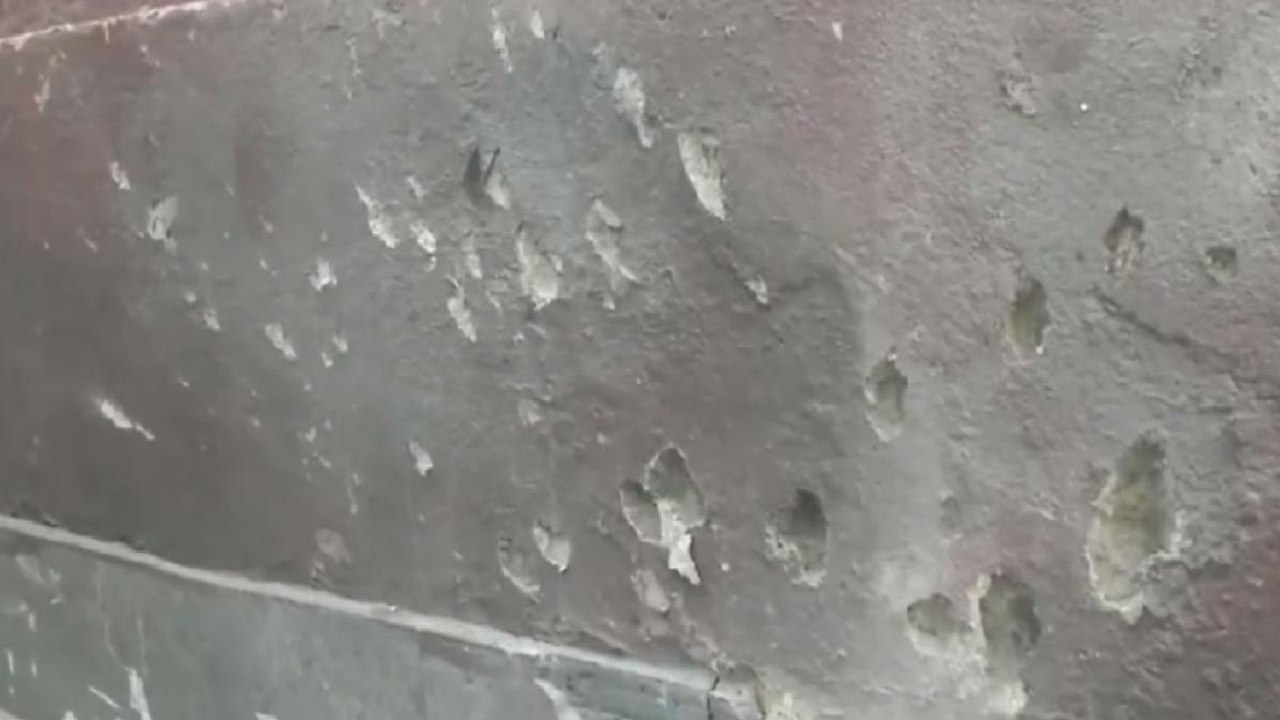 BJP leader's brother talks about grenade attack