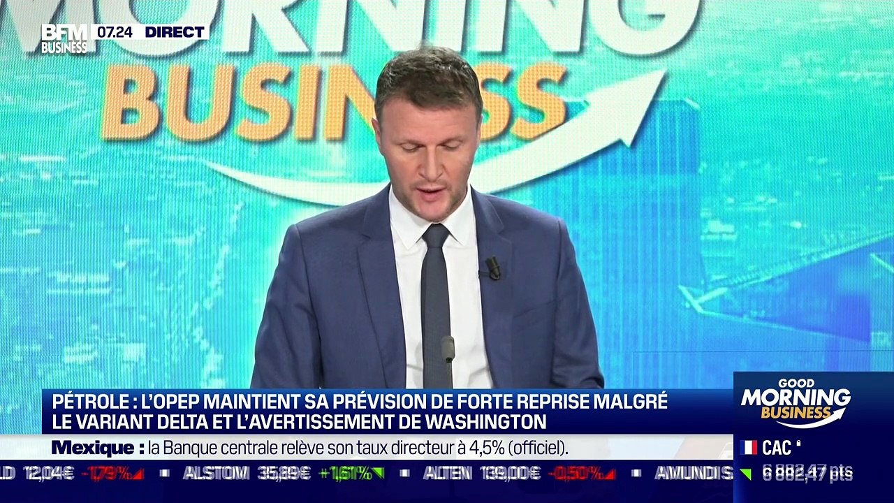 Philippe Chalmin (Université Paris-Dauphine) : L'OPEP maintient sa prévision de reprise - 13/08