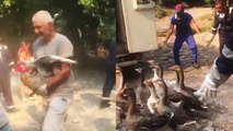 'Marmaris, Turkey: Rescuing Animals & Getting Them Away from the Destructive Wildfires '
